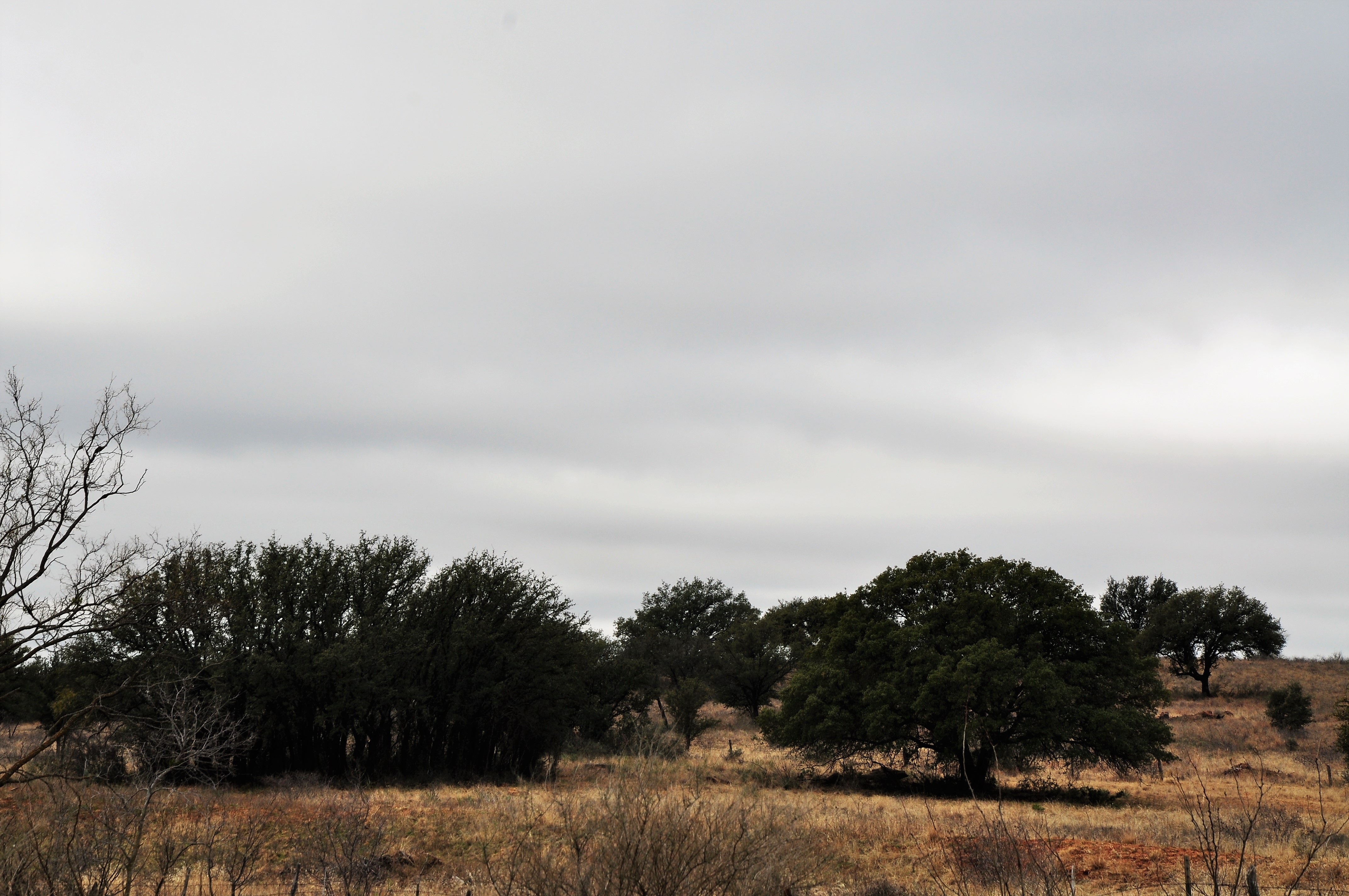 Kickapoo Ranch Photo