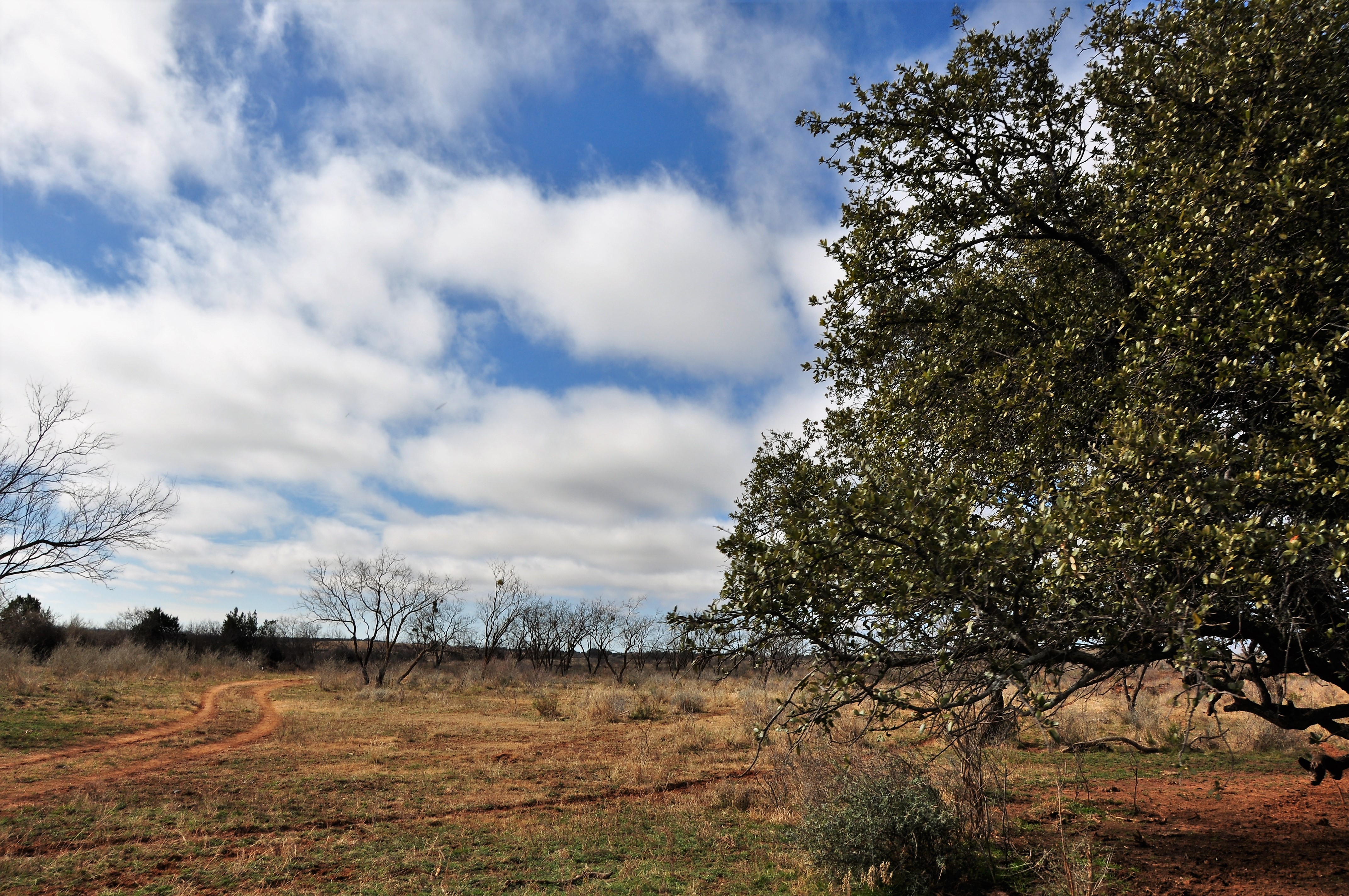 Kickapoo Ranch Photo