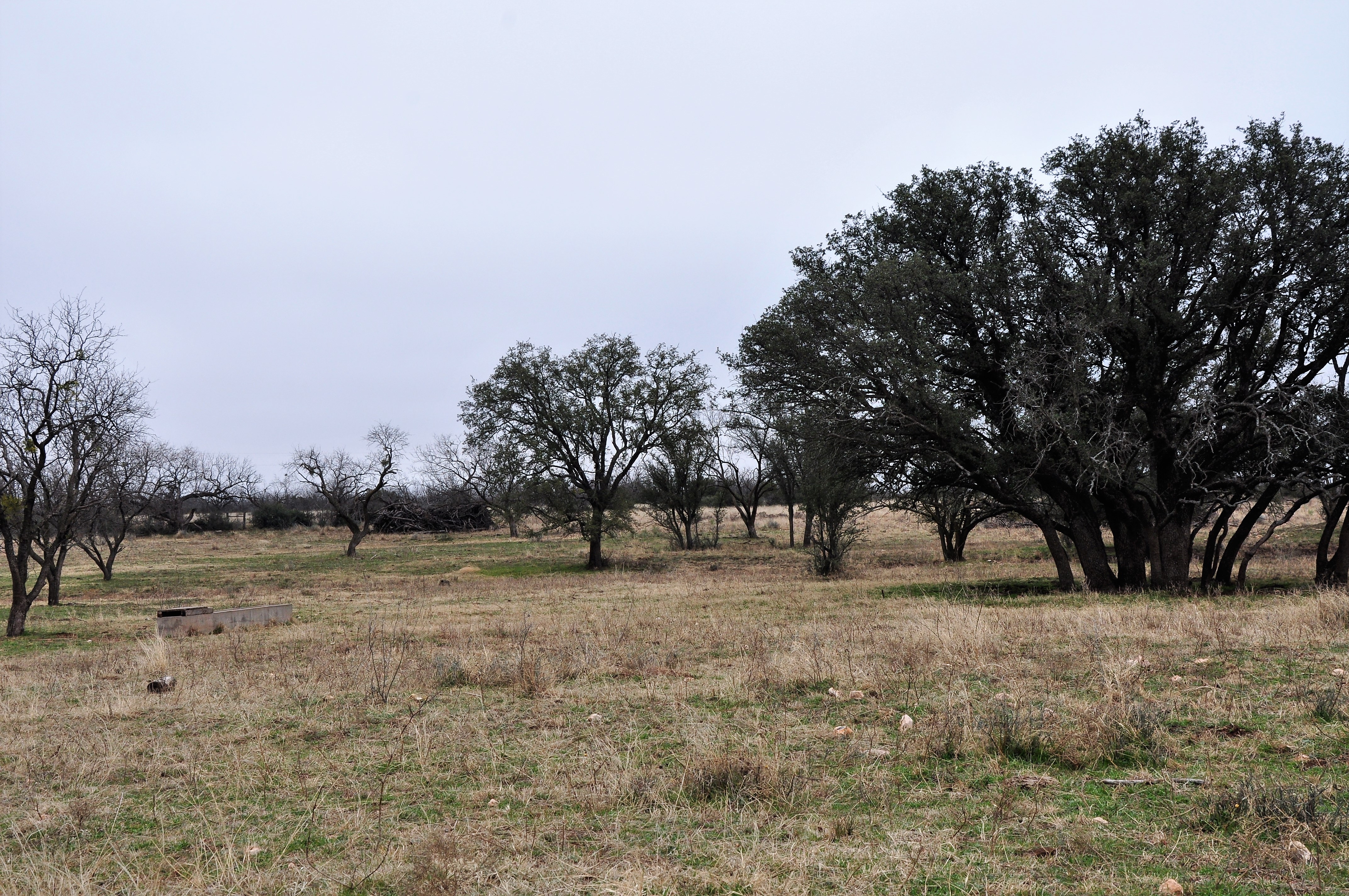 Kickapoo Ranch Photo