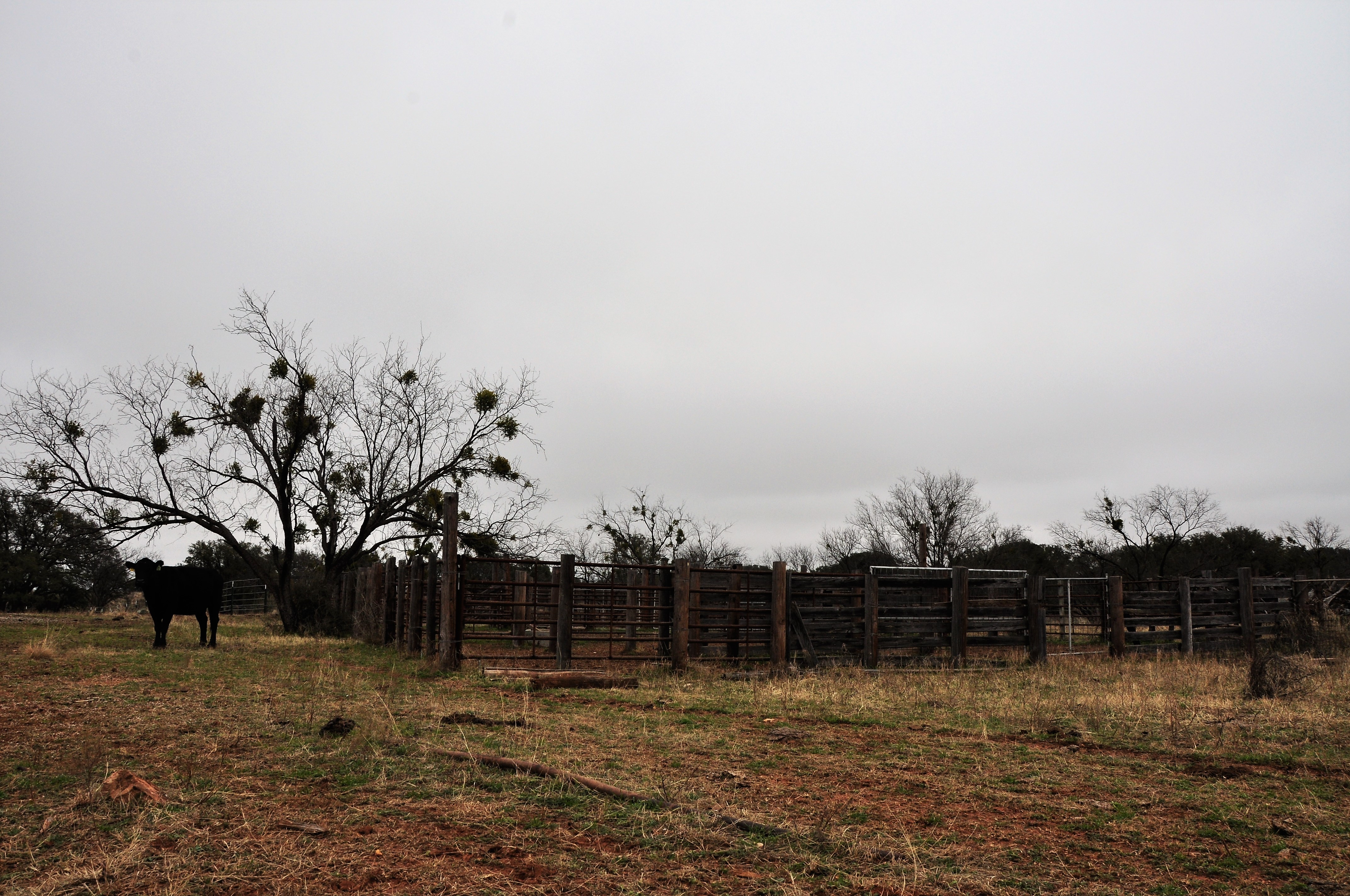 Kickapoo Ranch Photo