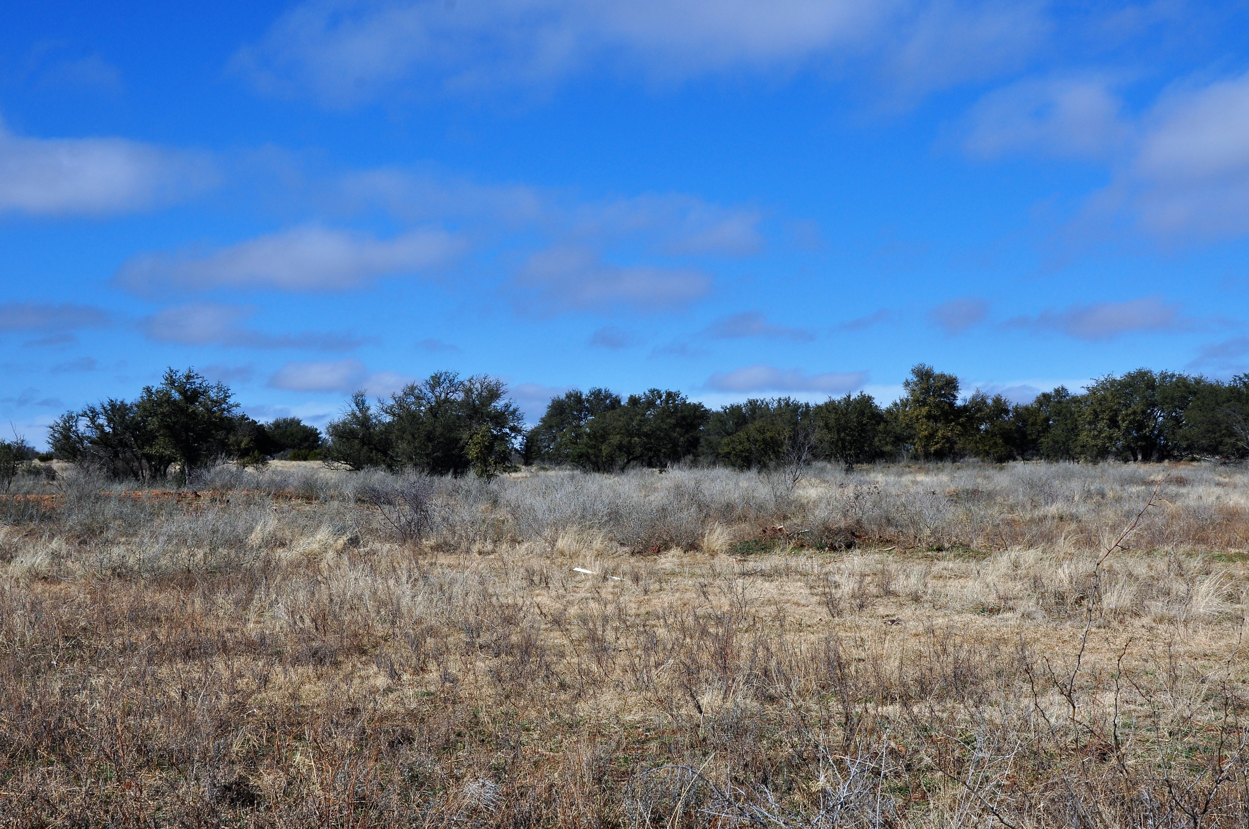 Kickapoo Ranch Photo