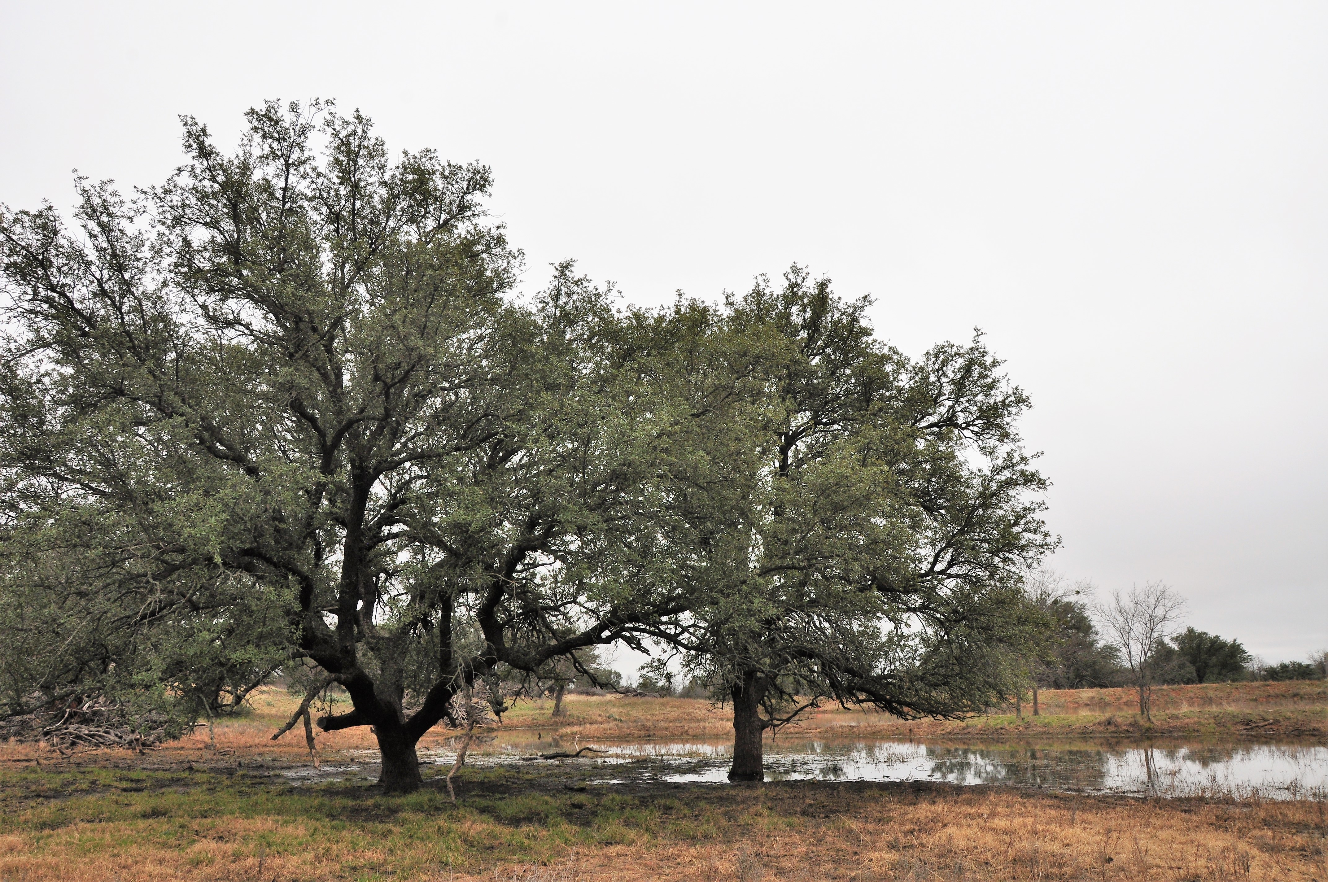 Kickapoo Ranch Photo