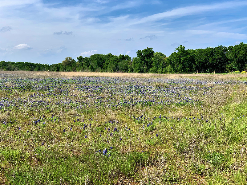 KW Ranch Photo