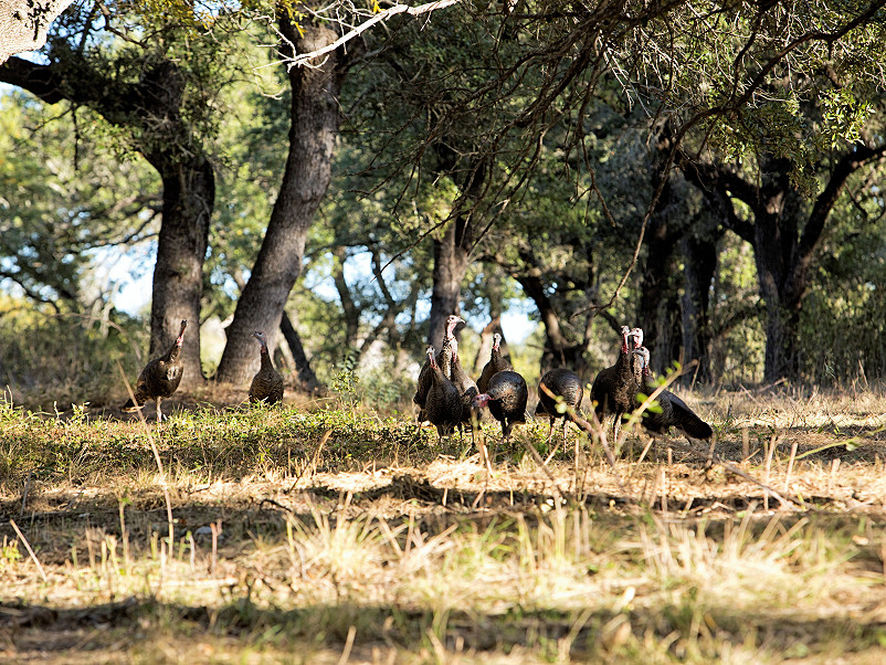 La Fonda Ranch Photo