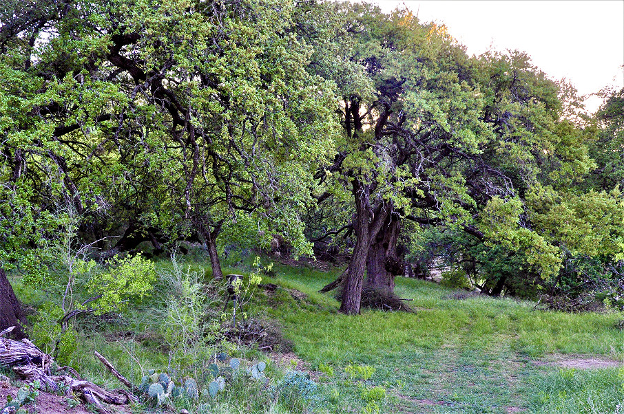 Llano River Ranch Photo