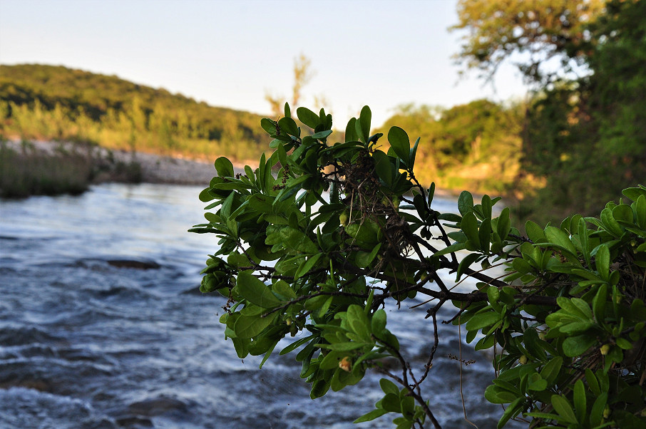 Llano River Ranch Photo