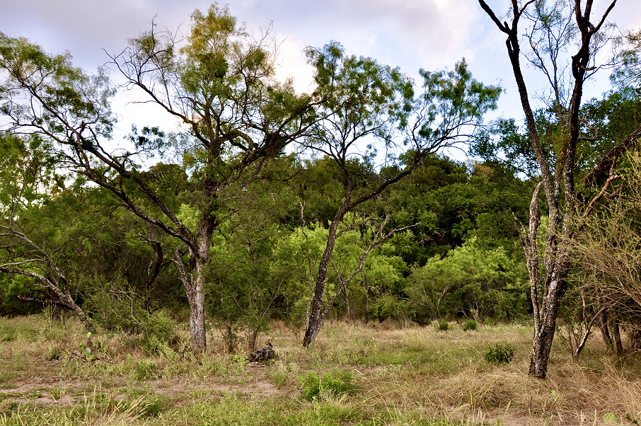 Llano River Ranch Photo