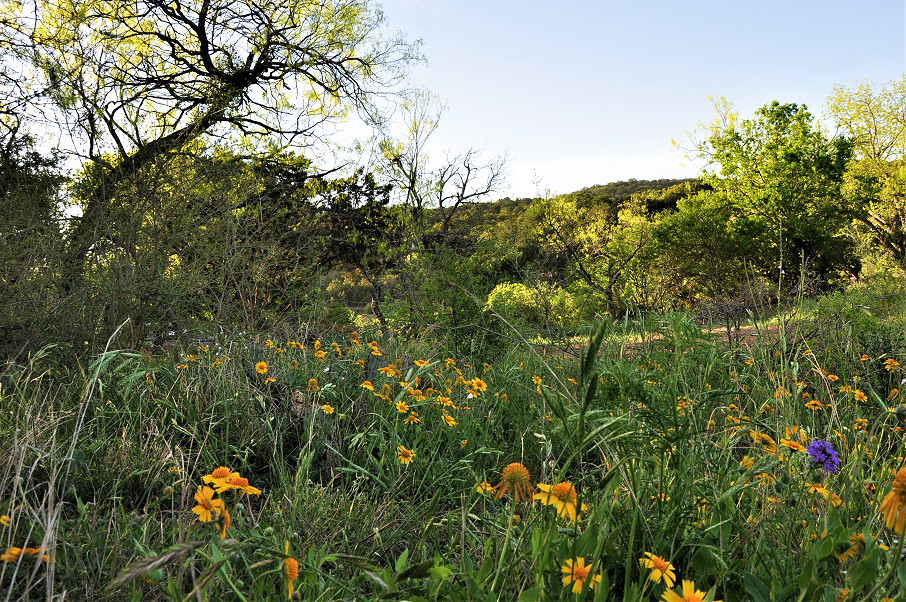 Llano River Ranch Photo