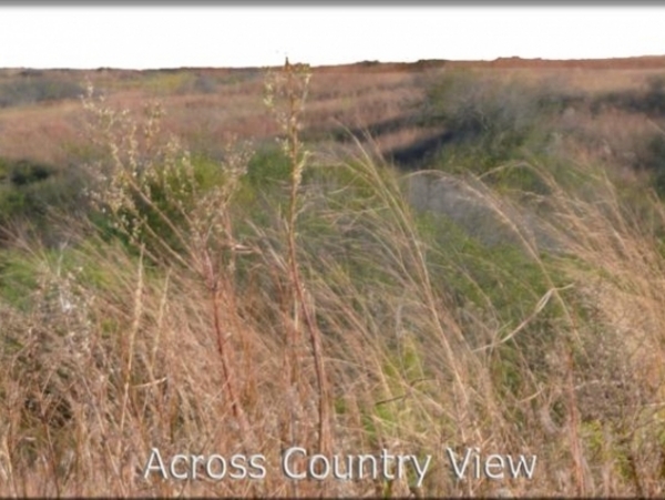 Lone Star Ranch Photo