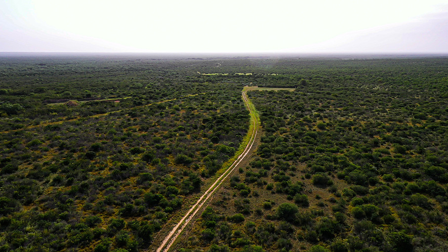 Sims Whitetail Ranch Photo