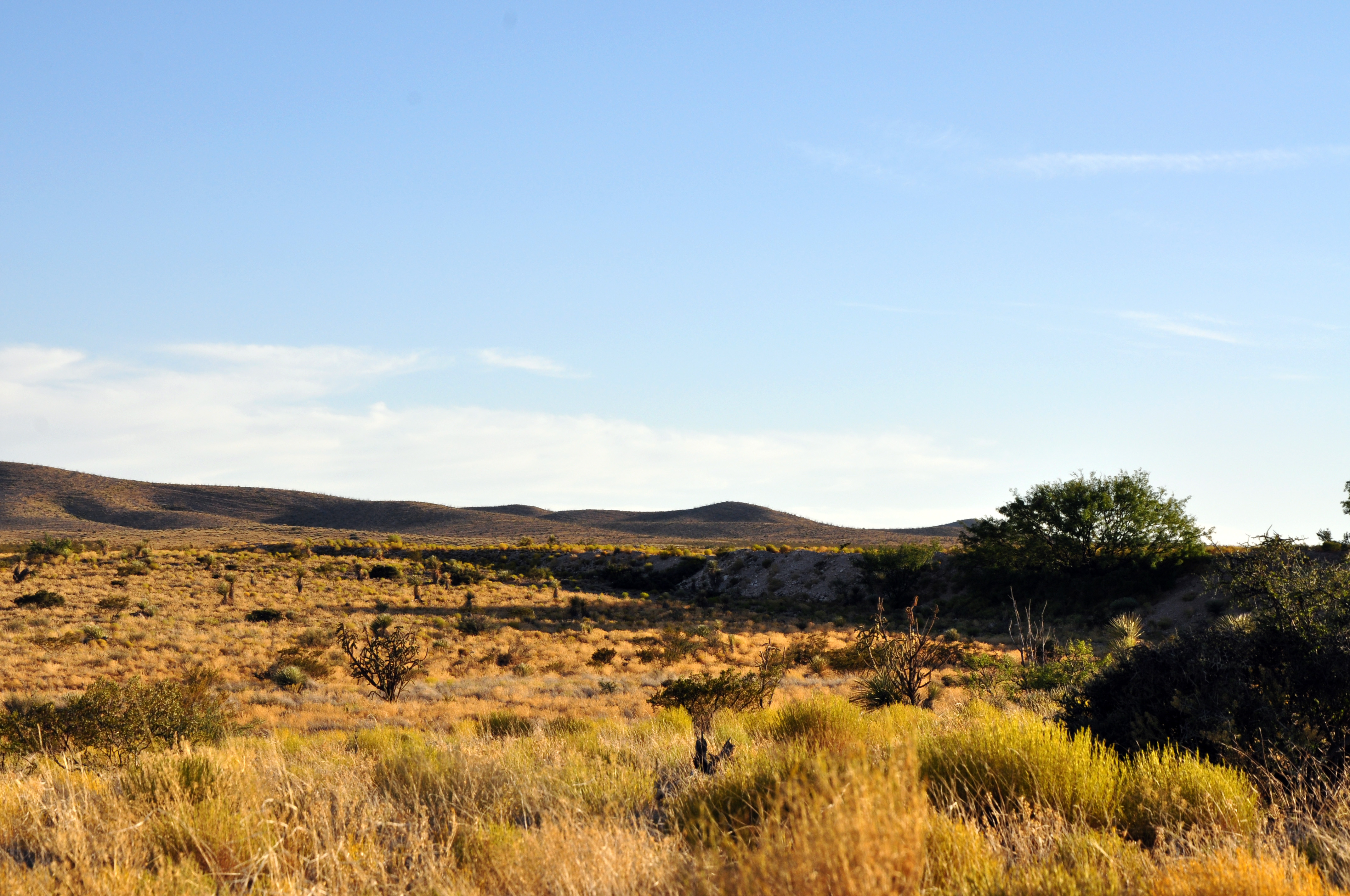 Mayfield Ranch Photo