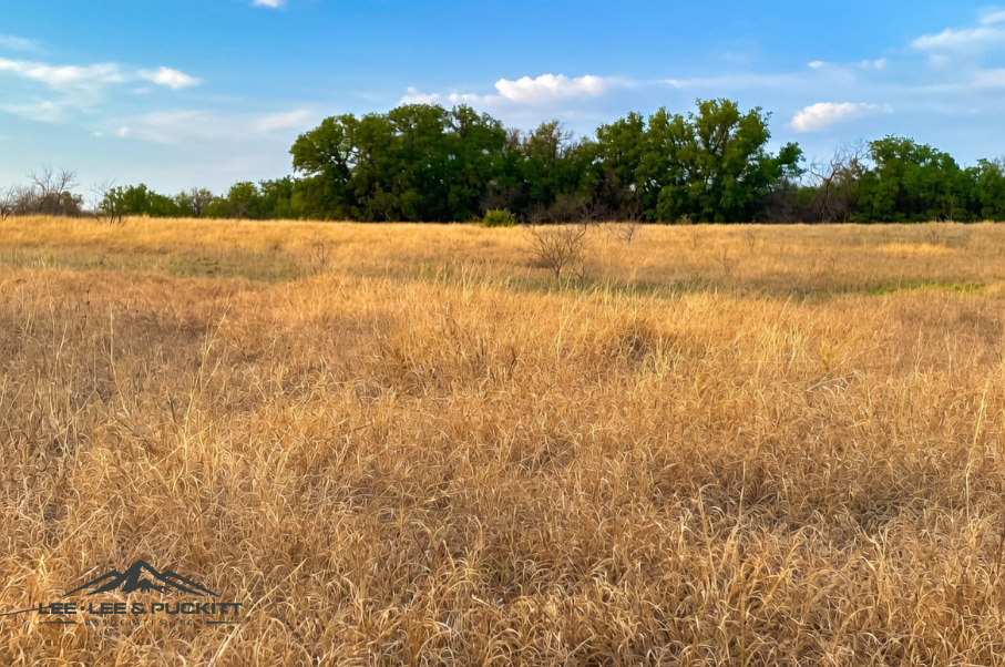 Marrs Family Trust Photo