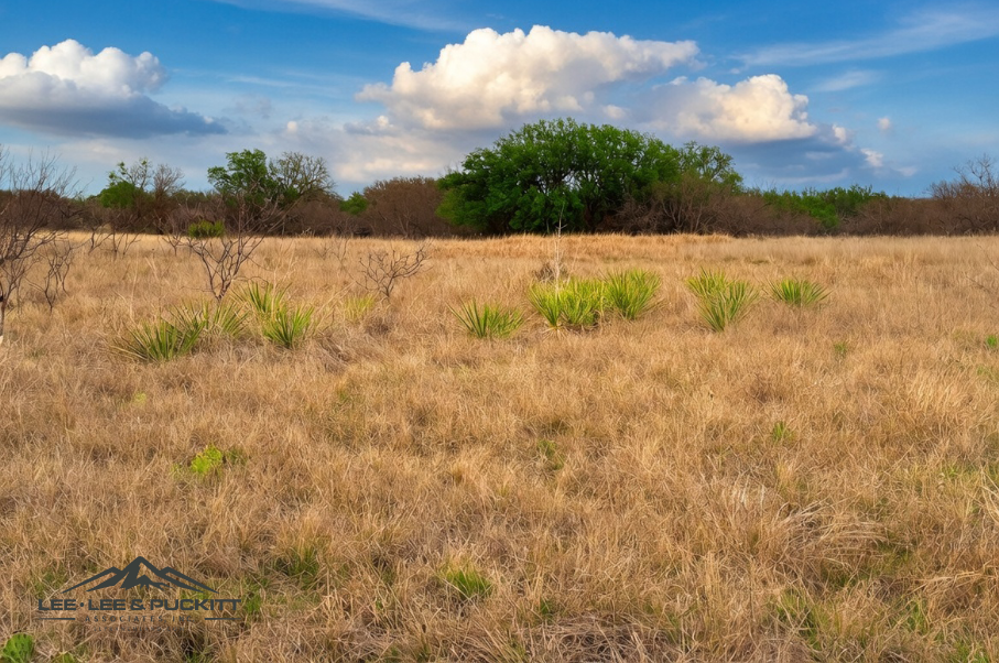 Marrs Family Trust Photo