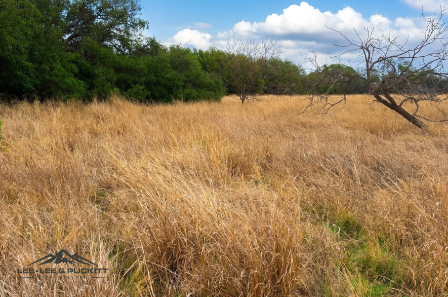 Marrs Family Trust Photo