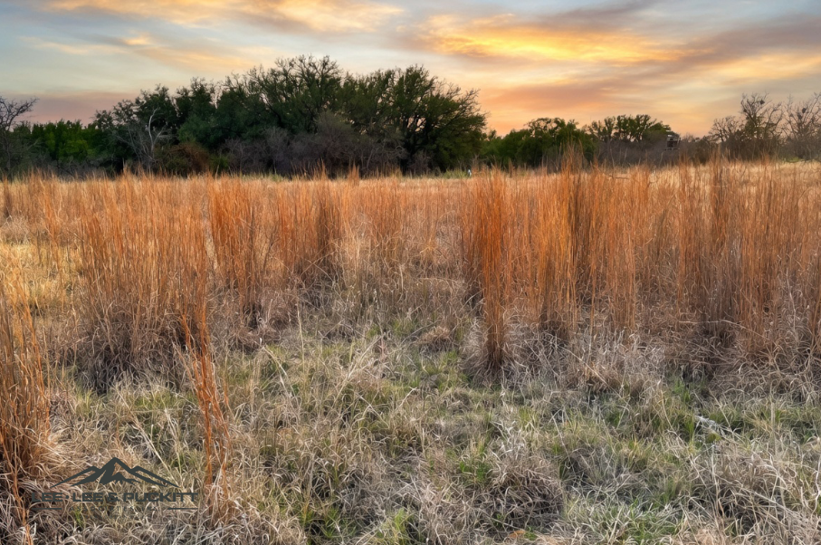 Marrs Family Trust Photo