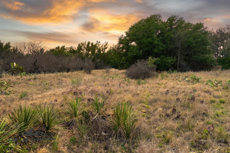Marrs Family Trust Photo
