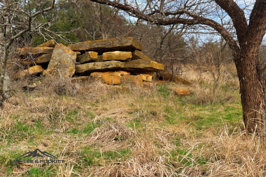 Marrs Family Trust Photo