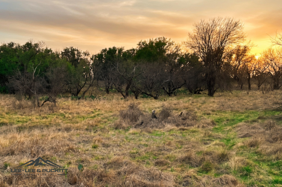 Marrs Family Trust Photo