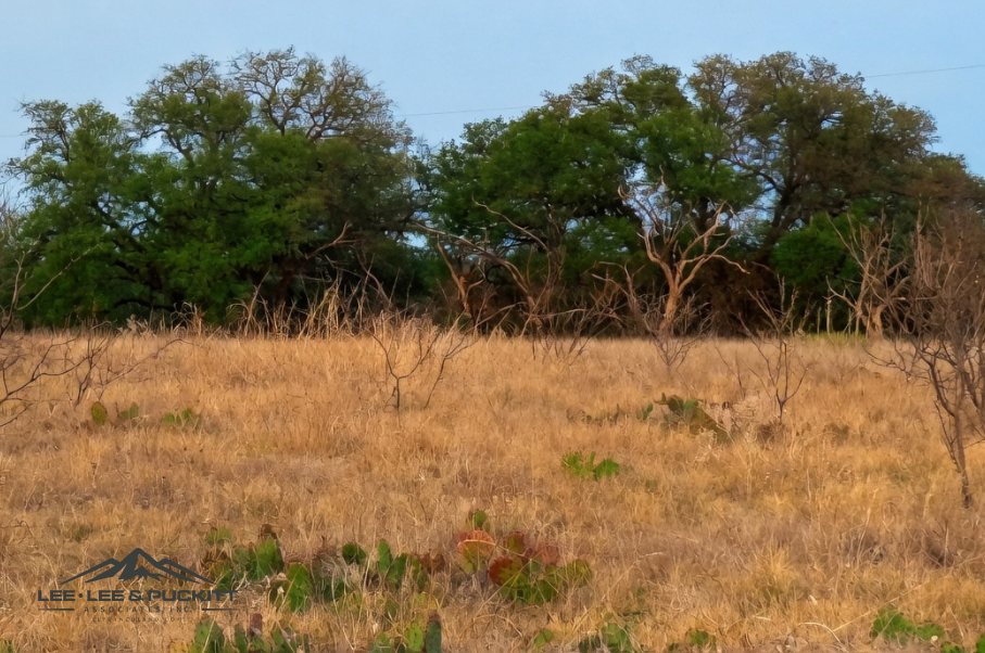 Marrs Family Trust Photo
