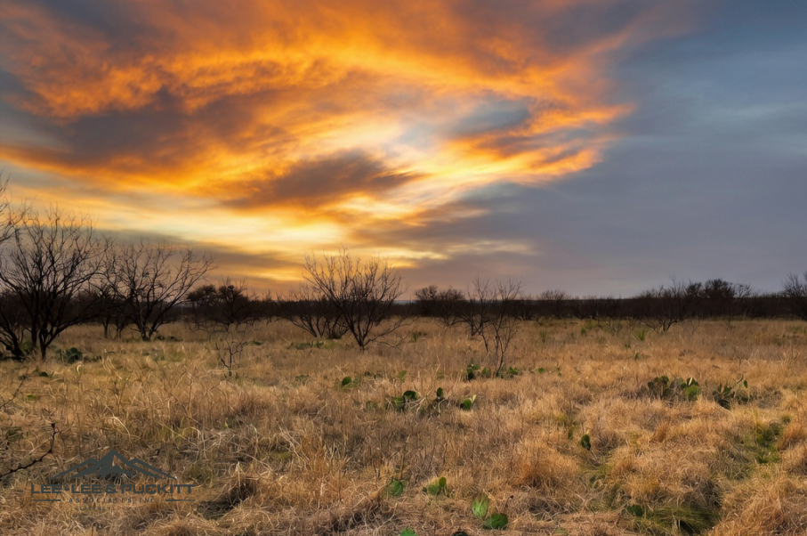 Marrs Family Trust Photo