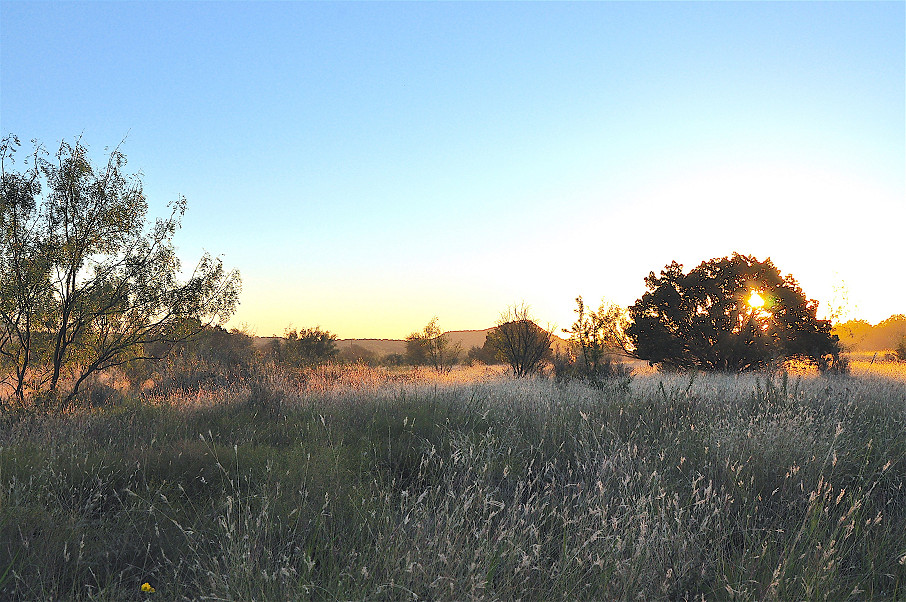 Mathis Mountain Ranch Photo