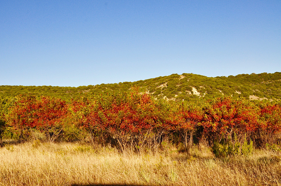 Mathis Mountain Ranch Photo