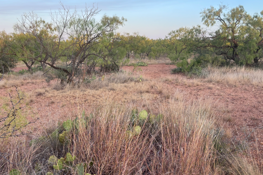 McShan Ranch Photo