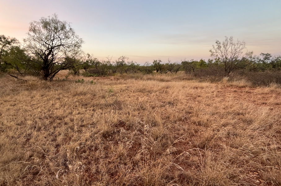 McShan Ranch Photo