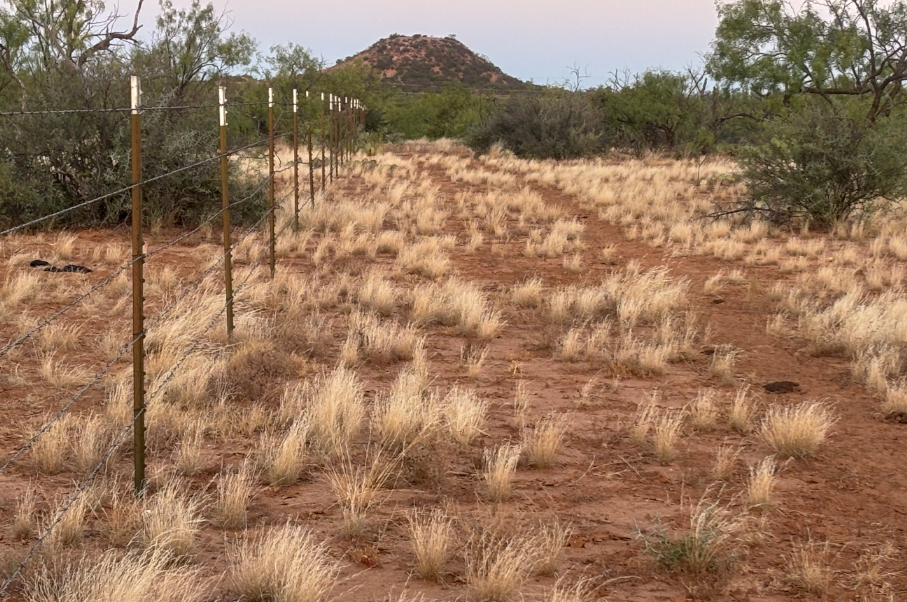McShan Ranch Photo