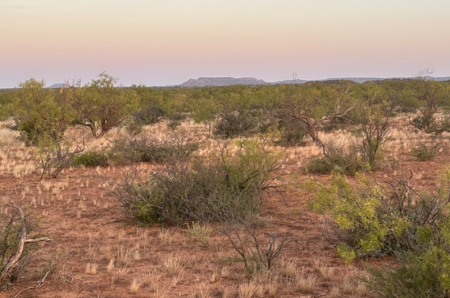 McShan Ranch Photo