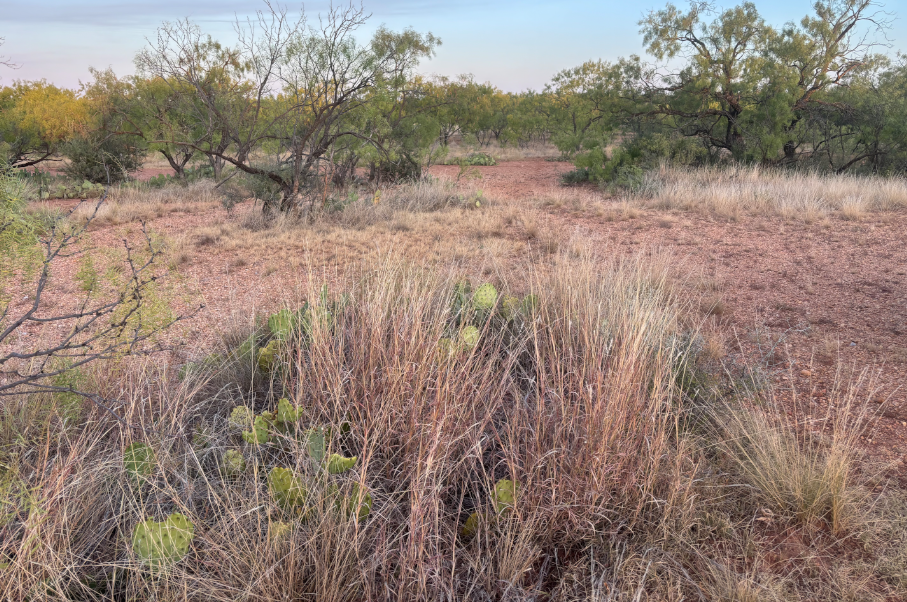 McShan Ranch Photo