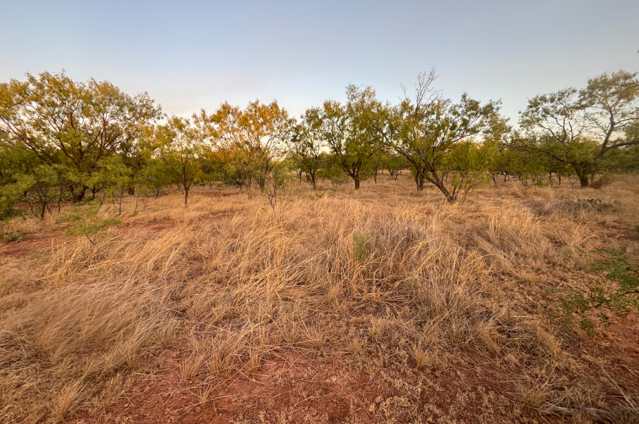 McShan Ranch Photo