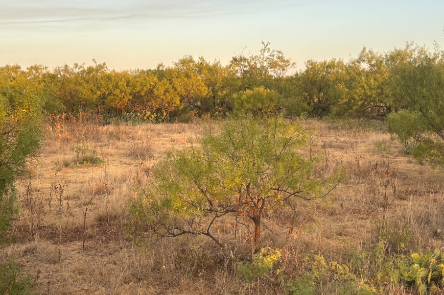 McShan Ranch Photo