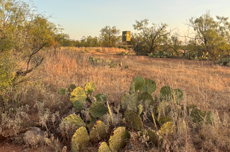 McShan Ranch Photo