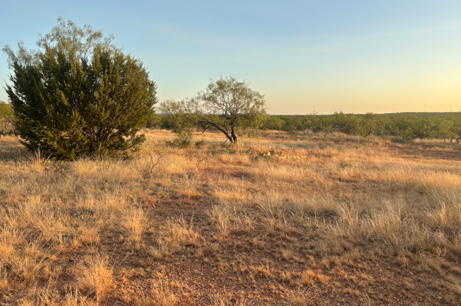 McShan Ranch Photo