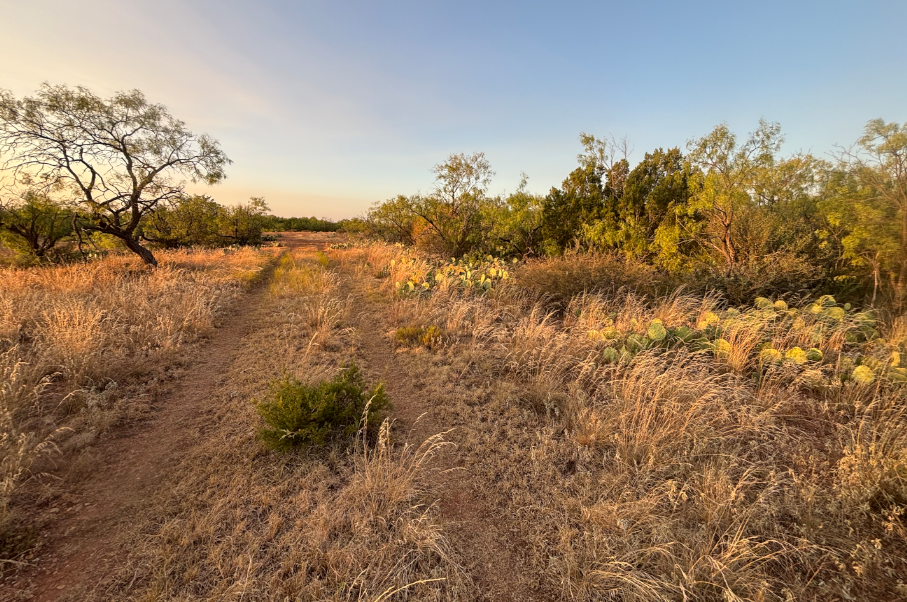 McShan Ranch Photo