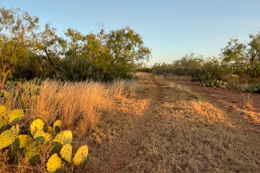 McShan Ranch Photo