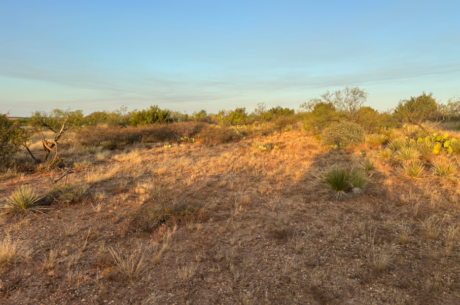 McShan Ranch Photo