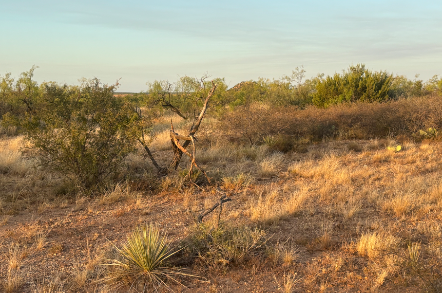 McShan Ranch Photo