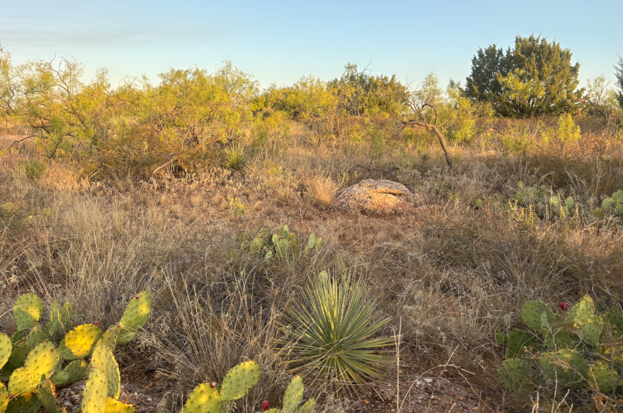 McShan Ranch Photo