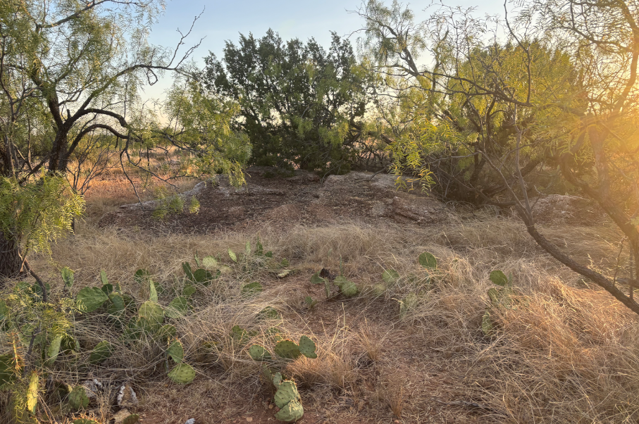McShan Ranch Photo