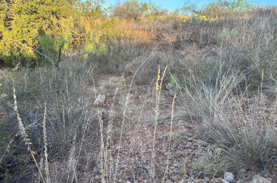 McShan Ranch Photo