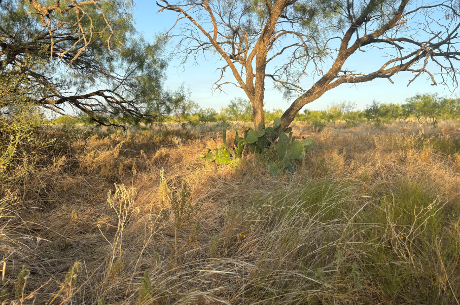 McShan Ranch Photo