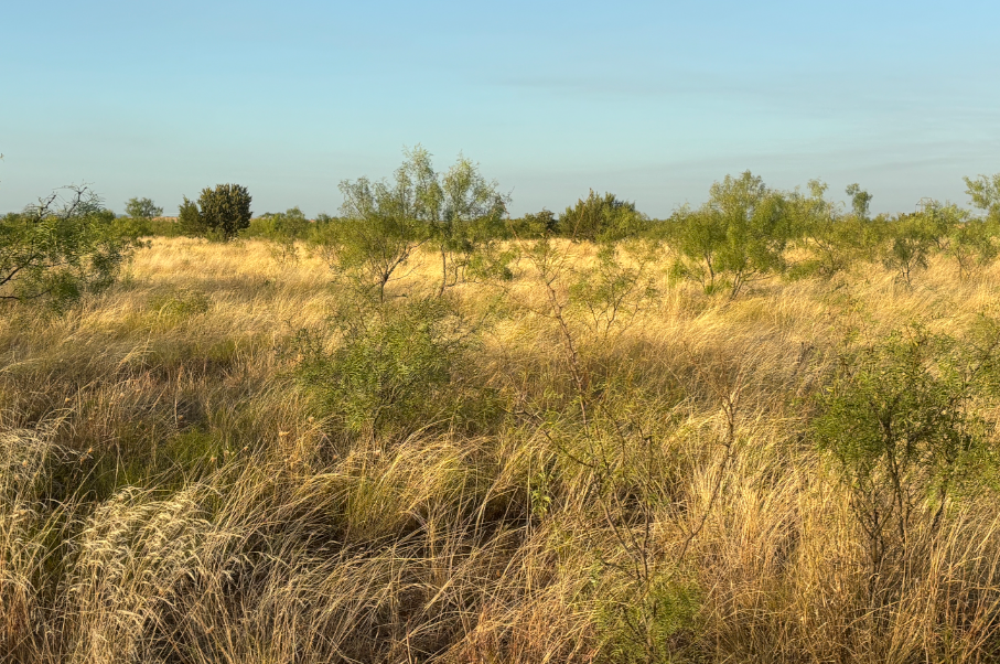 McShan Ranch Photo