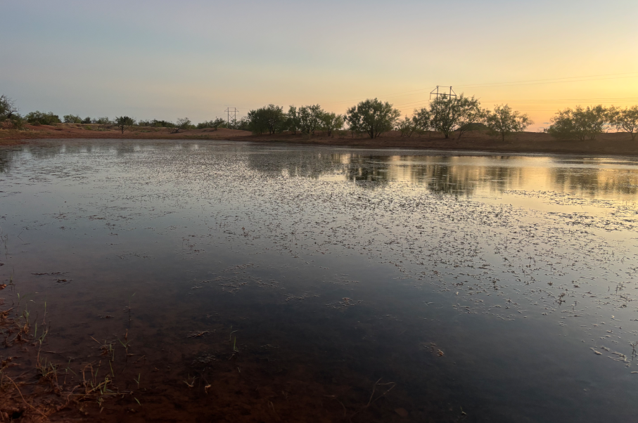 McShan Ranch Photo