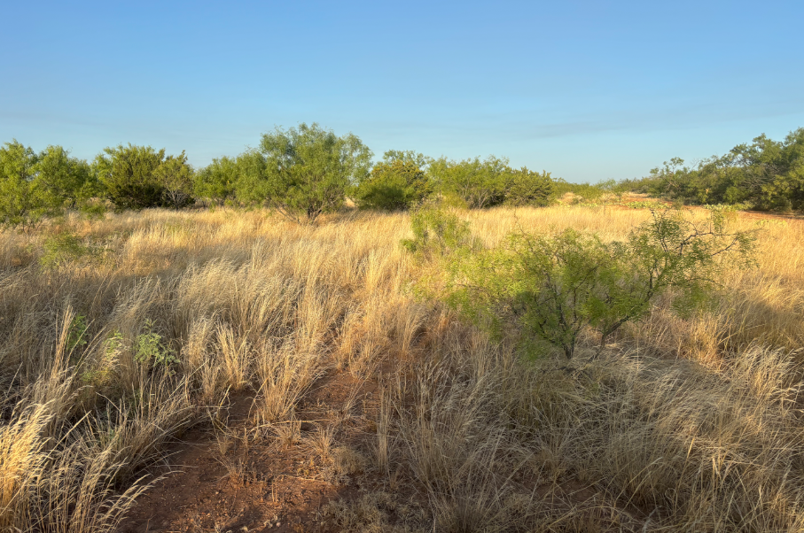 McShan Ranch Photo