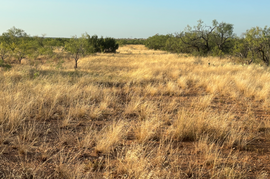 McShan Ranch Photo