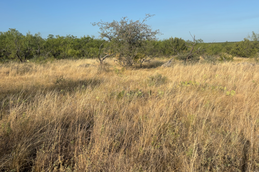 McShan Ranch Photo
