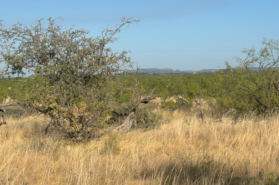 McShan Ranch Photo