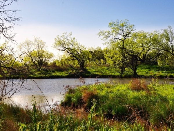 Mesquite Hills Ranch - REDUCED Photo